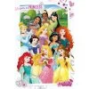 Disney Princess Disney Princess - Maxi Poster 2 Disney Princess Disney Princess - Maxi Poster -Frozen Winkel disney princess disney princess maxi poster