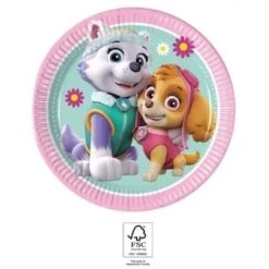 Paw Patrol 8 Paw Patrol Gebaksbordjes Skye En Everest - Eco Friendly