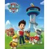 Paw Patrol Paw Patrol Team - Mini Poster -Frozen Winkel paw patrol paw patrol team mini poster