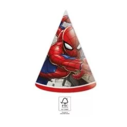 Spiderman 6 Spiderman Feesthoedjes