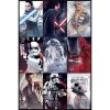 Star Wars Star Wars The Last Jedi Characters - Maxi Poster -Frozen Winkel star wars star wars the last jedi characters maxi