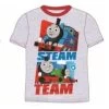 Thomas De Trein Thomas De Trein T-shirt - Grijs -Frozen Winkel thomas de trein thomas de trein t shirt grijs